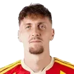 Milan Robin